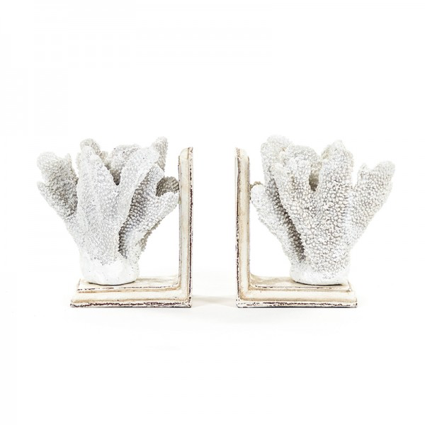 White Coral Bookends